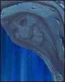 Qui est  Grand-mre Feuillage    qui Pocahontas demande souvent conseil ?