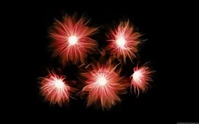 Je vous remercie d'avoir jou  ce quizz en vous offrant un beau bouquet de...