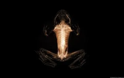 La France est le plus gros mangeur ...