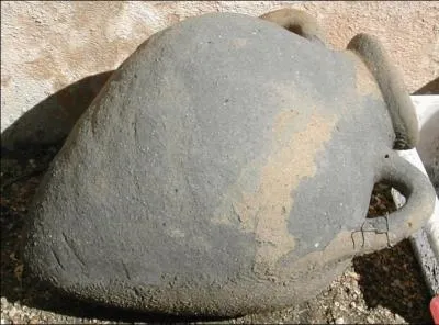 Quel est ce type de vase ?