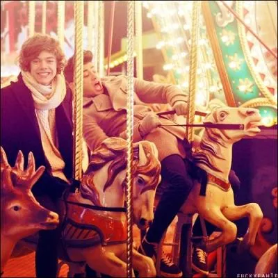 Dans la  video diary  (2me semaine), Harry dit qu'il aime les filles qui ont un beau visage, ce  quoi Zayn lui rpond...