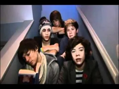 Dans la  video diary 7 , qu'est-il crit sur le livre de Louis ?