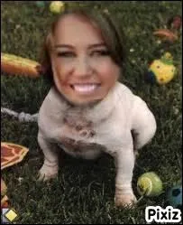 Miley Cyrus a-t-elle un chien ?