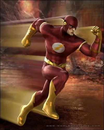 The flash fait partie de...