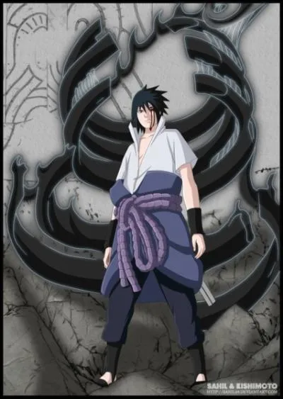 Quel kekkei genkai Sasuke utilise-t-il en invoquant  Amaterasu  ?
