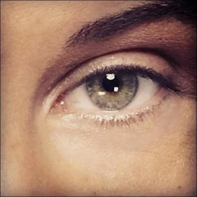 Qui a quitt l'aventure en troisime, et pourquoi ?