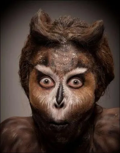 C'est ce qui fait sa particularit�, deux aigrettes sur la t�te !