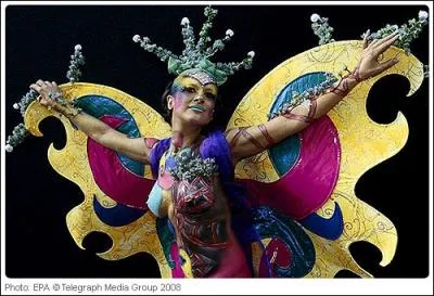 La phase imm�diate pr�c�dant le papillon est ...