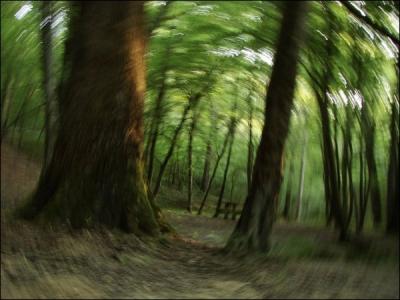 Pourquoi certaines substances hallucinognes perturbent-elles la perception visuelle ?