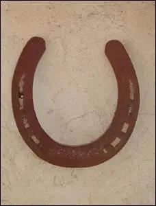 Le fer  cheval se divise en combien de parties ?