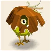 De quel niveau est le disciple du KIMBO ?