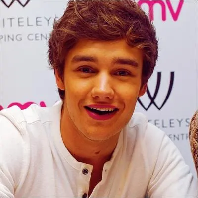 Si Liam ne faisait pas partie du groupe que serait-il devenu ?