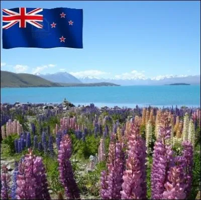 Pays ocanien, territoire des maori ... .