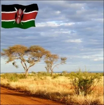 Le nom de ce pays d'Afrique, lui vient de son plus haut sommet signifiant   montagne de l'autruche  ... .