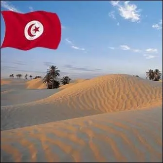 Pays du Maghreb, divis en 24 gouvernorats portant le nom de leurs chefs-lieux... .