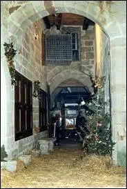 Un roi de France a fait installer des cages suspendues au plafond pour y enfermer ses ennemis. De qui s'agit-il ?