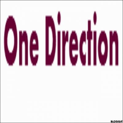 Qui a choisi le nom 'One Direction' ?
