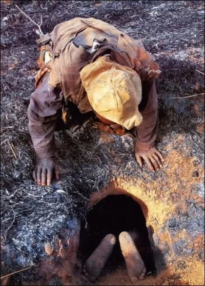 Toujours dans la même région, un animal peut creuser un terrier de ce type, qui servira ensuite de refuge à d'autres animaux !