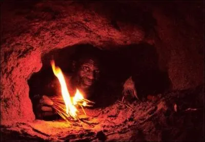 Quel type de serpent peut prendre possession d'un terrier de phacochre ?