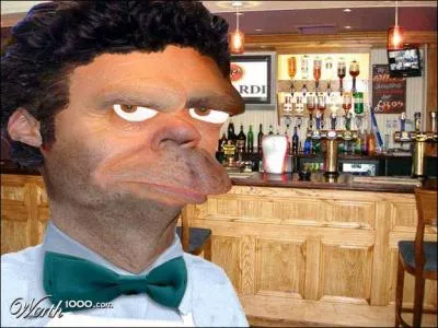 Quel personnage de la srie Simpson est reprsent en rel sur cette photo ?