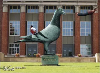 J'ai trouv cette image drle, le problme est que je n'ai pas trouv de question,  part quel est cet oiseau ?