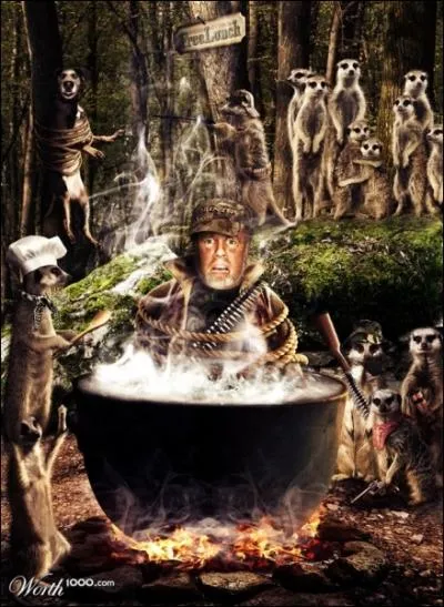 Quels animaux ont dcid de ce faire un ragut de chasseur sur cette image ?