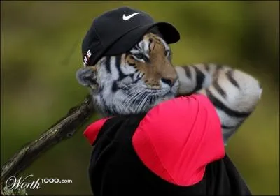 Tiger Woods est l'eun des meilleurs joueurs de...