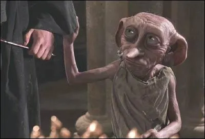 Comment se nomme l'elfe de maison qu'Harry va rencontrer ?