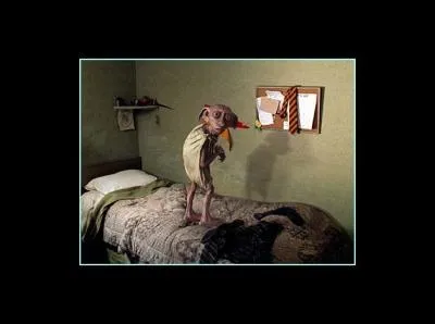 Dans quel tome (film) Harry va-t-il le voir pour la premire fois ?