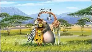 Dans  Madagascar 2 , qui sauve Melman quand il essaye de sauter dans le volcan ?
