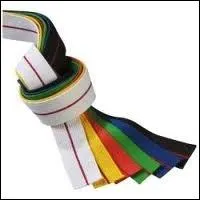 Quelle est la plus importante ceinture de karat ?