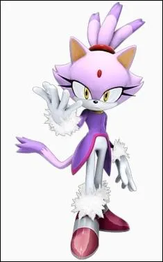 Une amie de Sonic. C'est...