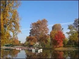 Quelle est la capitale la plus boise d'Europe avec 1 arbre pour 12 habitants ?