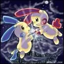 Qui sont ces pokmon ?