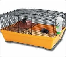 Ce type de cage convient-il aux gerbilles ?