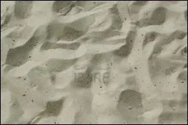 Que peut faire le sable  la gerbille ?