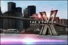 Quel juge a promis au gagnant un contrat avec sa maison ?