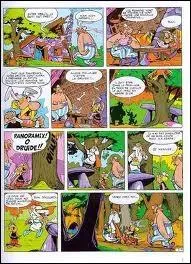 Pour Astrix, le jour est venu d'avoir sa ration de potion magique. Il va donc chercher le druide Panoramix qui est en train de cueillir du gui. Dans quel album trouve-t-on cette scne ?