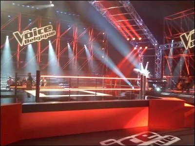 Quelle tape de  The Voice Belgique  est prsente sur ce dessin ?