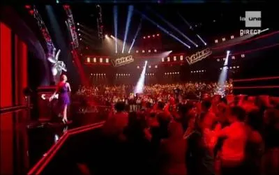 A quelle tape de l'mission le public a-t-il pu voter ?