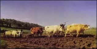 Quel(le) peintre spcialis(e) dans les reprsentations animalires n(e)  Bordeaux en 1822 est l'auteur de la toile  Labourage nivernais  ?