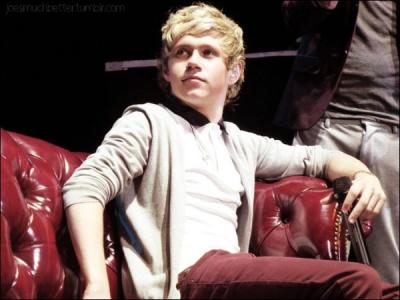 Quel tatouage Niall voudrait-il se faire ?