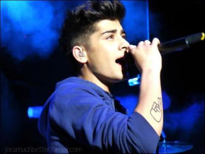 Quel est le genre de filles de Zayn ?