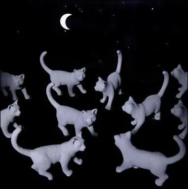 La nuit, tous les chats sont gris... .