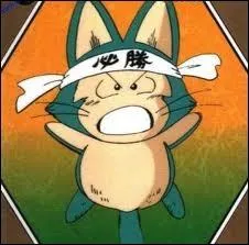 Qui est cette boule de poils ?