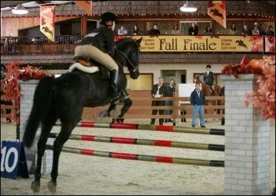 Pour le concours d'automne  quelle place est arrive Amy ?