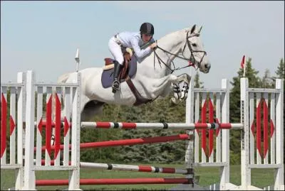 Quel a t le deuxime cheval d'Amy, quelle a vendu ensuite ?