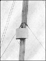 Compltez :  Ils doivent avoir plus chauds que nous !  ...