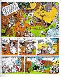 Panoramix le druide se prpare pour aller  fort des Carnutes. En chemin, il retrouve son ami le druide Belge Septantsix. Dans quel album voit-on cette scne ?