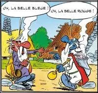 Panoramix, devenu fou, ne sait plus prpare la potion magique. Dans quel album trouve-t-on cette image ?